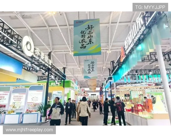 深入了解南宫旗下品牌的产品特色与市场竞争优势